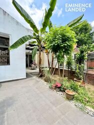 Holland Grove Road (D10), Terrace #566837631